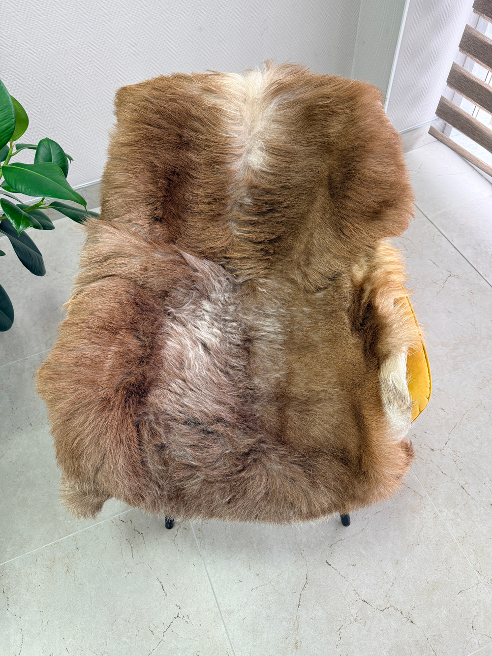 Шкура коврик меховой прикроватный овчина, 120х65 см.