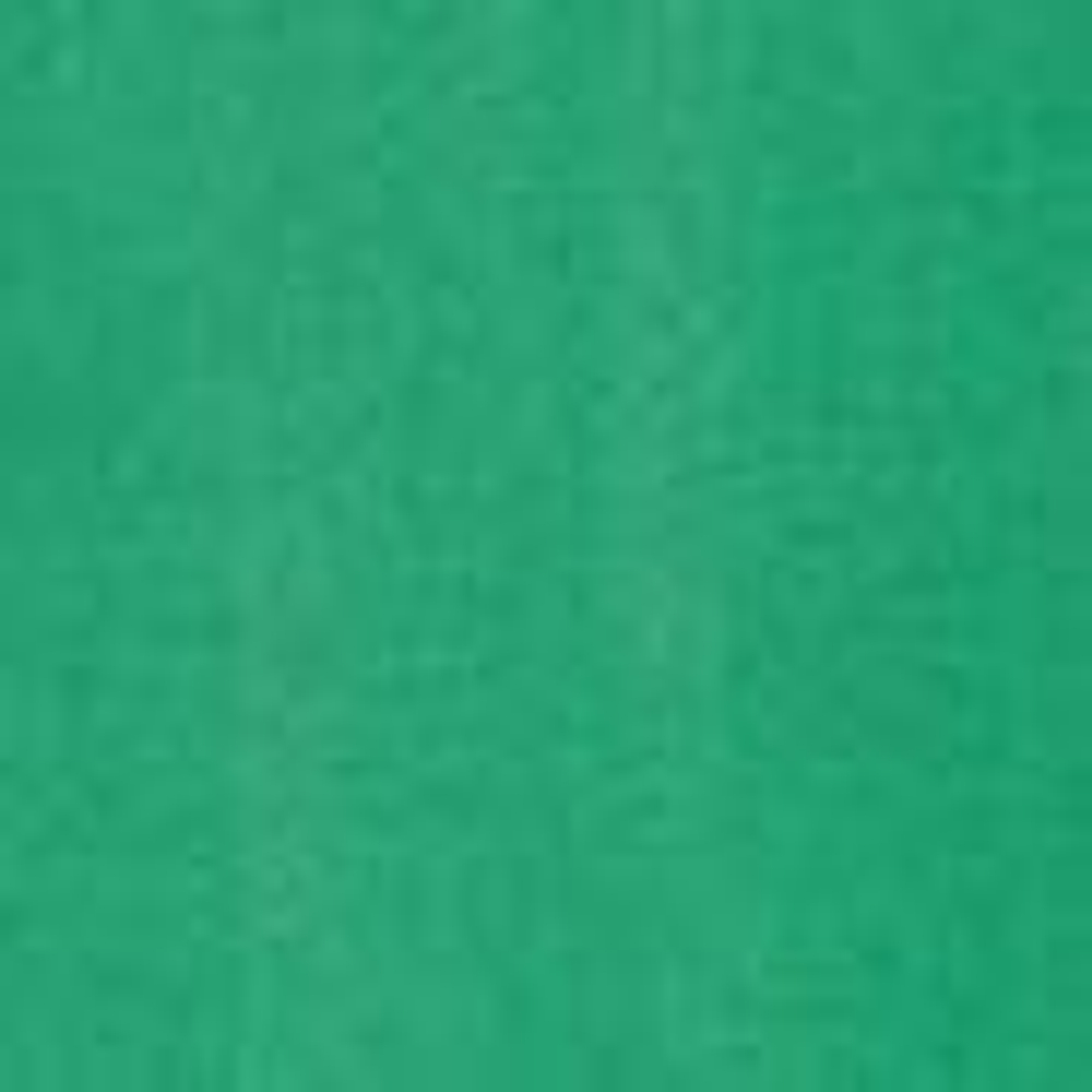 Рулонное покрытие Rubbergum Flex Eco