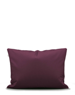 ESSENZA Наволочка Minte