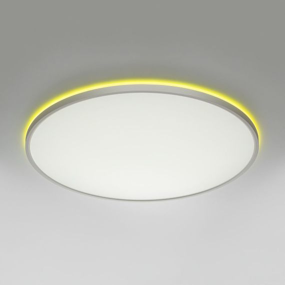 Потолочный светодиодный светильник Citilux Norma CL749600