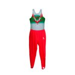 Комплект мужской гимнастический комбинезон (боди) + брюки Milano Pro Sport Men’s Digitex