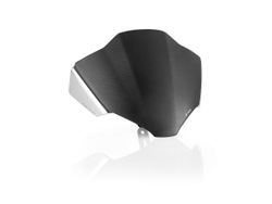 ZDM159AK RIZOMA CARBON WINDSCREEN KIT (SF V2)