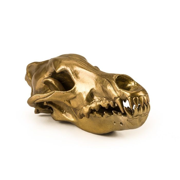 Статуэтка Seletti Wunderkrammer Wolf Skull 10892