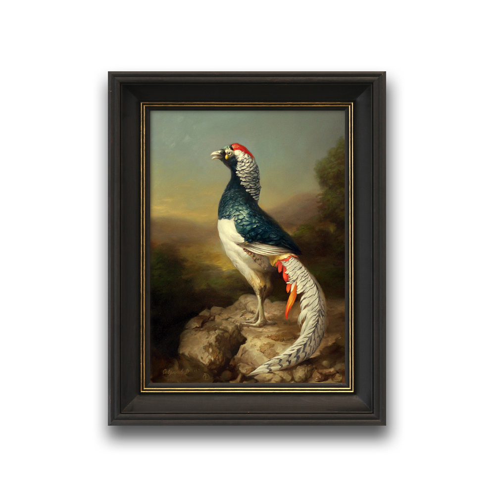На картине изображён фазан, стоящий на скалистой поверхности. Птица представлена в профиль, с гордой осанкой. Оперение фазана яркое и детализированное: спина и крылья окрашены в насыщенный тёмно-зелёный цвет, грудь и живот — белые, а на голове выделяется ярко-красный гребень. Хвост длинный, с изящным узором из белых и чёрных полос, с вкраплениями оранжевых деталей.