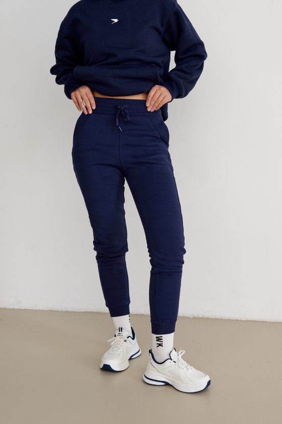 ДЖОГГЕРЫ WARM (синий)