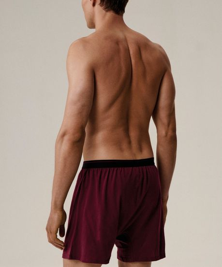 Трусы (2 шт) мужские семейные Atlantic 2MBX-025, хлопок, графитовый + каберне