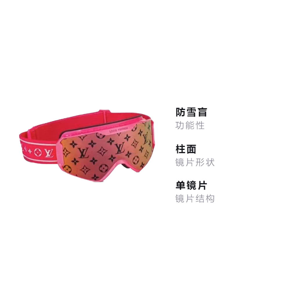 LOUIS VUITTON Snow Blindness Prevention Unisex Ski Goggles