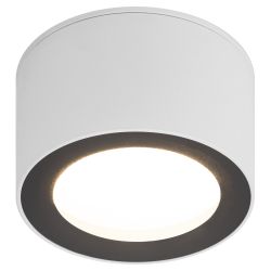 Светильник накладной ЭРА OL28 WH/BK под лампу GX53 IP44 черный/белый