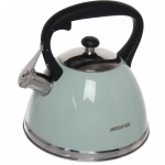 Чайник из нержавеющей стали 3л «ARCHIA» со свистком, мятный