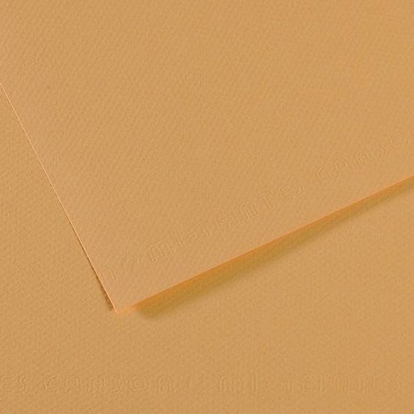 Бумага для пастели Mi-Teintes 160 г/м², 50х65 см, 10 л, №340 Бежевый светлый, Canson, C31032S098