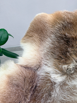 Шкура коврик меховой прикроватный овчина, 120х65 см.