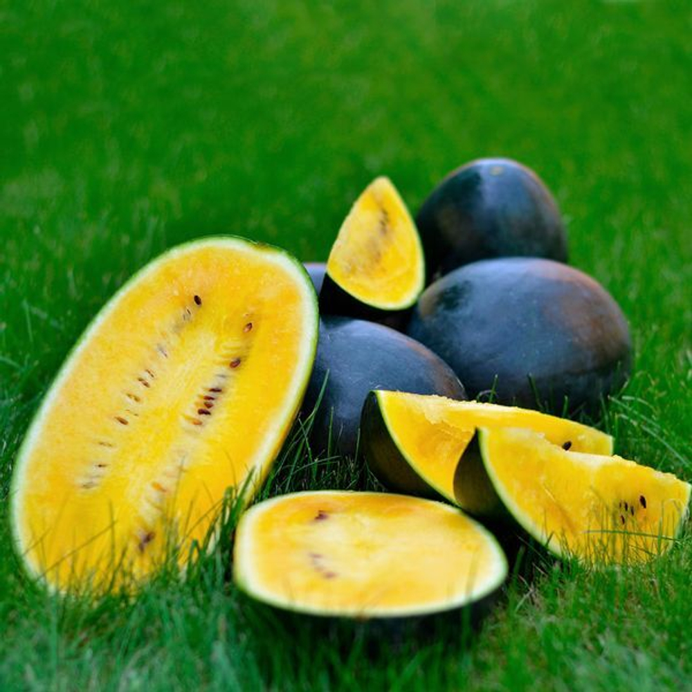 Арбуз Шуга Еллоу F1 5шт ВитаГрин ЭКСТРА