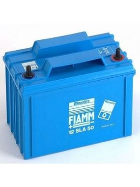 Аккумуляторы FIAMM 12SLA50L - фото 1