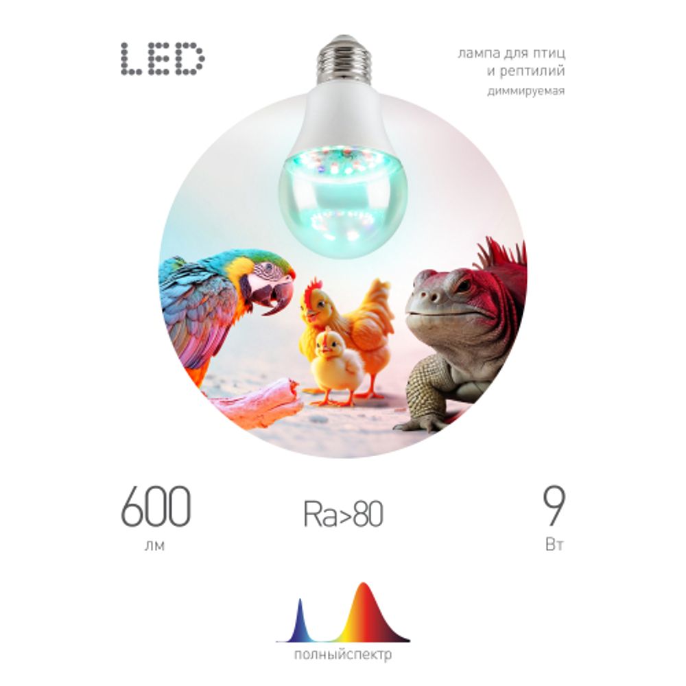 Лампа для птиц и рептилий ЭРА Chicken с UVB спектром FITO-Dim 9W E27 | Лампы для птиц и рептилий