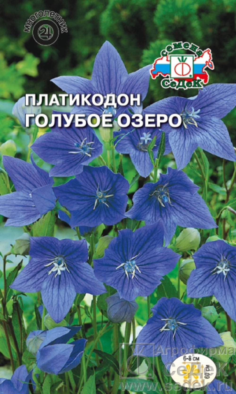 Платикодон Голубое озеро  0,1гр Седек