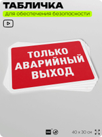 Табличка для обеспечения безопасности "Только аварийный выход", для офиса, по охране труда для предприятия, организаций, 40х30 см, Silver Plane x Айдентика Технолоджи