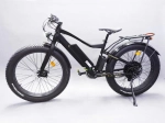 Электровелосипед VOLTECO BIGCAT DUAL