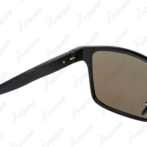 Очки поляризационные в жест.чехле (N-OP-LZ0320-B) Nisus