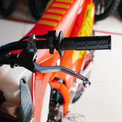 Мотоцикл TRX Open RAM 300 YBS Orange