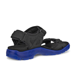 Сандалии мужские ECCO OFFROAD