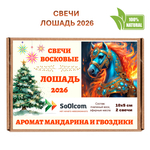 Свечи новогодние, Лошадь 2026, 10х5 см, 2 шт, восковые, кедр и апельсин