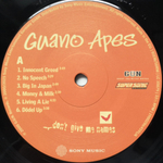 Guano Apes / Don't Give Me Names (LP)