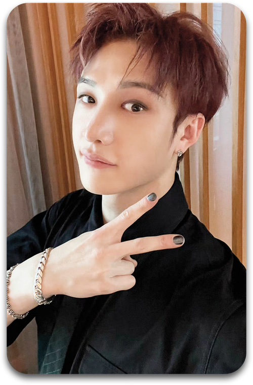 Карта / STRAY KIDS #1113