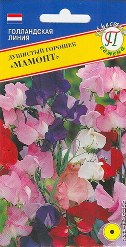 Душистый горошек Мамонт Престиж