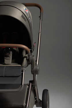 Детская коляска Anex Flo 2 в 1 Cesar