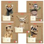 Тетрадь 18 л. BRAUBERG линия, обложка картон, "МИЛЫЕ ЗВЕРУШКИ", 403580, 5шт