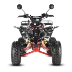 Электроквадроцикл WHITE SIBERIA SNEG Pro R 3000W