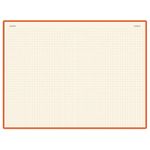 Блокнот А5 (142х214 мм), 100 л., твердая обложка, балакрон, на резинке, BRUNO VISCONTI, Оранжевый, 3-101/05