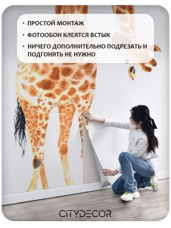 Фотообои Citydecor Детская 113 300x260 см (флизелиновые с виниловым покрытием)