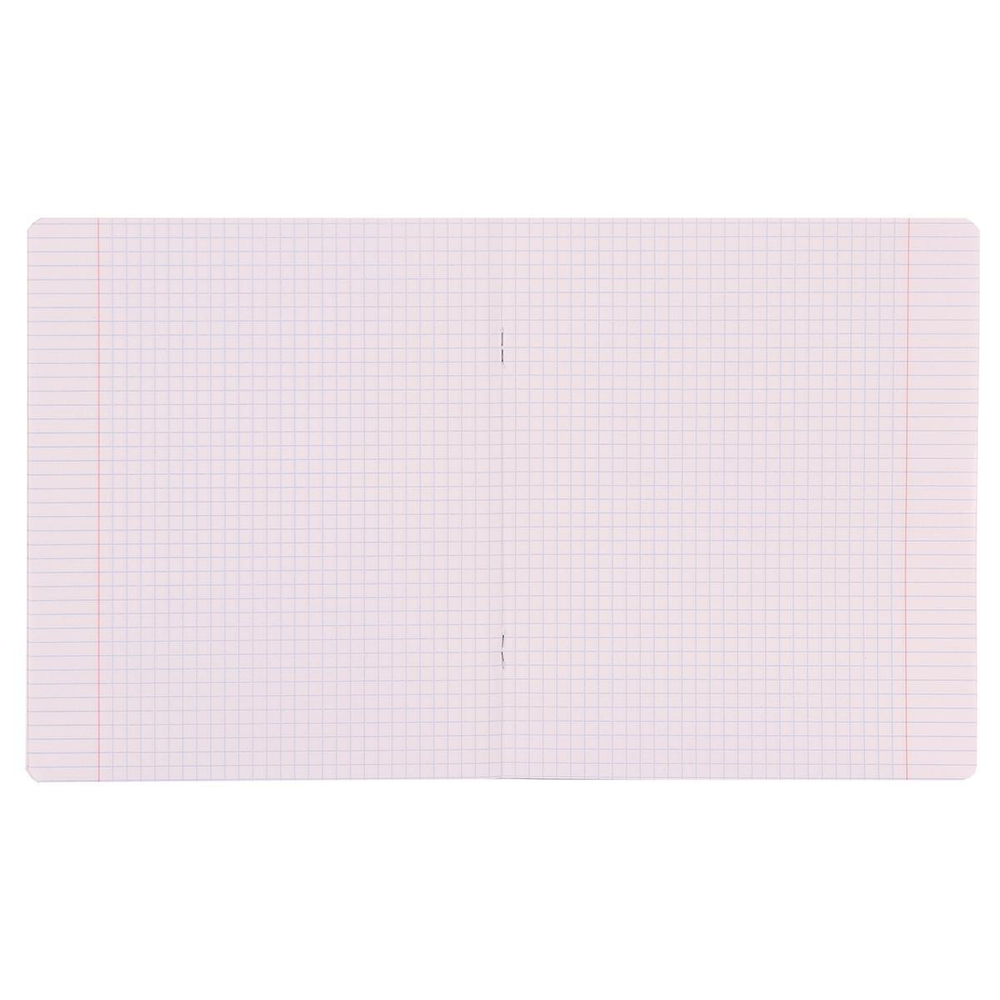 Тетрадь школьная А5 12л клетка "Bright" (Erich Krause) микс цветов (комплект 3 шт)