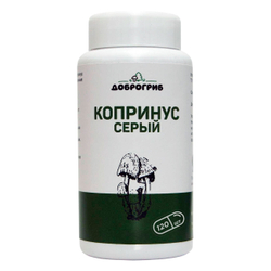 Копринус (навозник) серый в капсулах