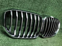 Решетка радиатора BMW X5 G05 (2018-2023)