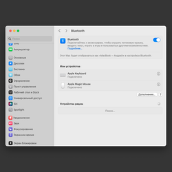 Комплект клавиатура Apple Keyboard A1314 и мышь Apple Magic Mouse A1296 (отличное состояние, упаковка)
