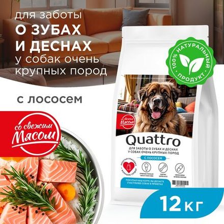 Корм сухой для взрослых собак очень крупных пород, премиум полнорационный комплекс, для заботы зубов и десен, с лососем, 12 кг, QUATTRO