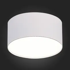 ST606.542.12 Светильник потолочный Белый LED 1*12W 4000K 1 080Lm Ra>90 120° IP20 D120xH55 185-265V Накладные светильники