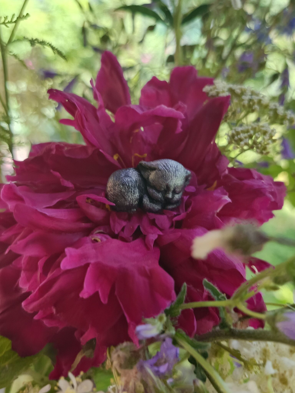 Брошь Спящий котенок черный авторская из полимерной глины ручной работы