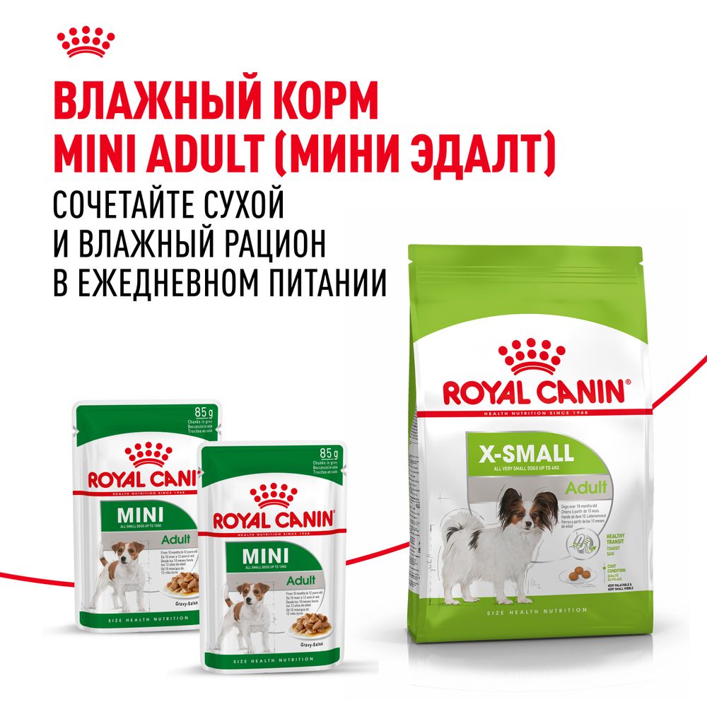 Сухой корм Royal Canin X-Small Adult для взрослых собак очень мелких размеров от 10 месяцев Сухой корм Royal Canin X-Small Adult для взрослых собак очень мелких размеров от 10 месяцев