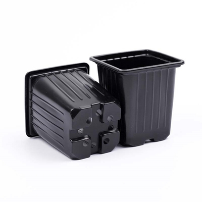 Горшок для рассады мяг 7х7х8см (черн) 10шт/уп