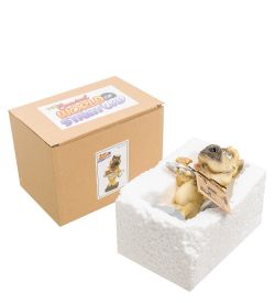 RV-912 Статуэтка Собака Мастиф «Мечты сбываются» (W.Stratford)