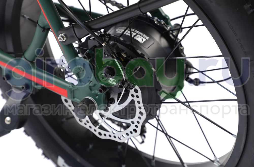 Электровелосипед WHITE SIBERIA SLAV PRO 1000W 48V/13A Elki Green (зеленый) фото  22 фото №24