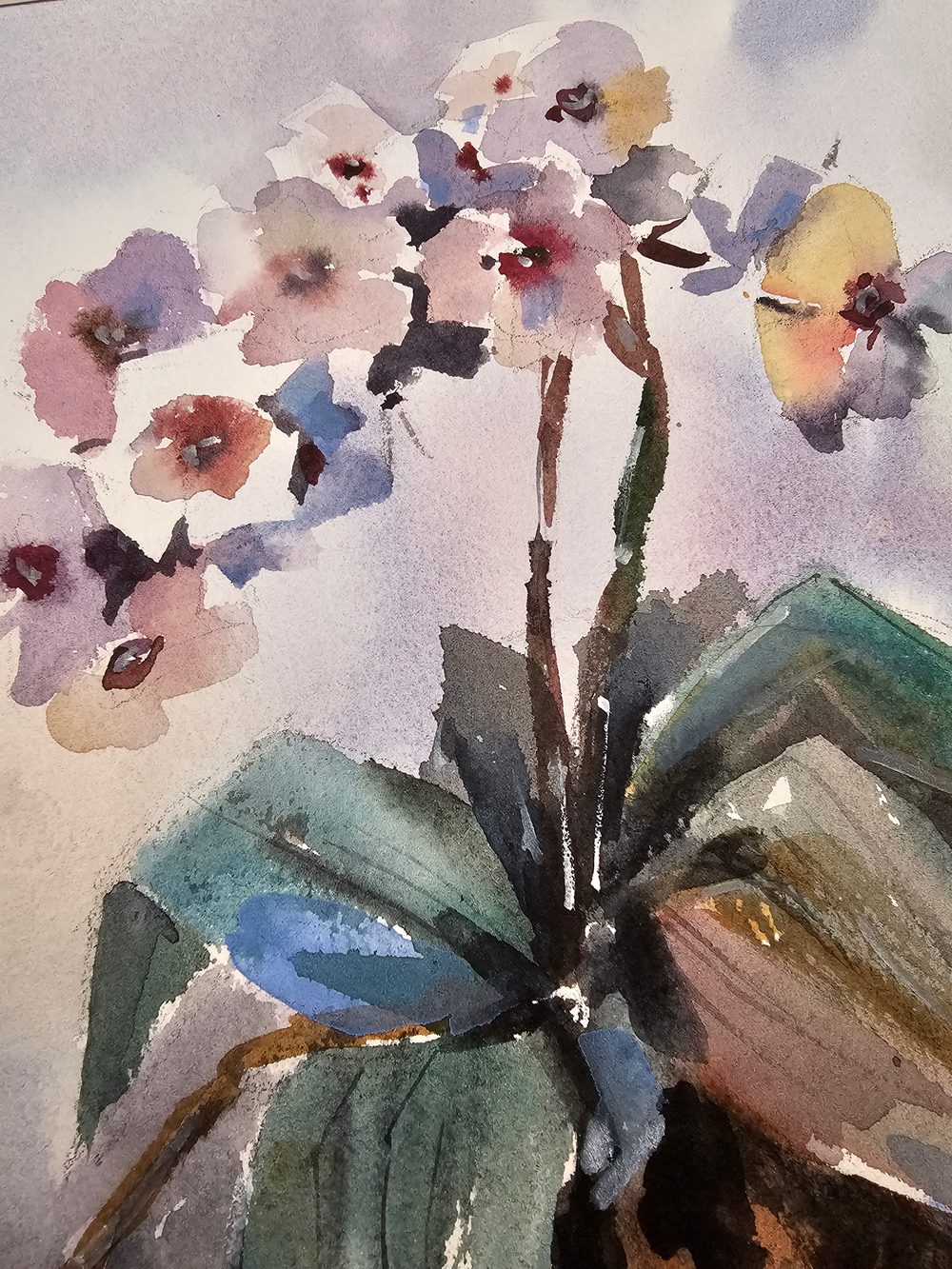 Картина авторская акварельная в паспарту 30х40 см на стену для интерьера "Орхидея"