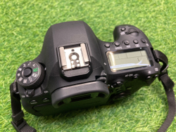 Canon EOS 6D Mark II 1050 кадров