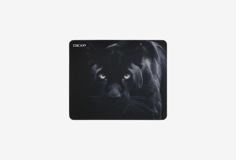 DEXP Panther OM-XS_0126709110120