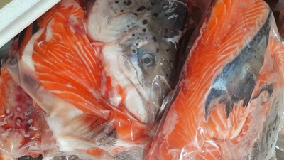 Наборы для ухи