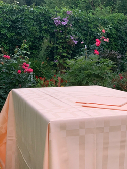 Скатерть 180x270 и 12 салфеток Palombella Marilia персиковые