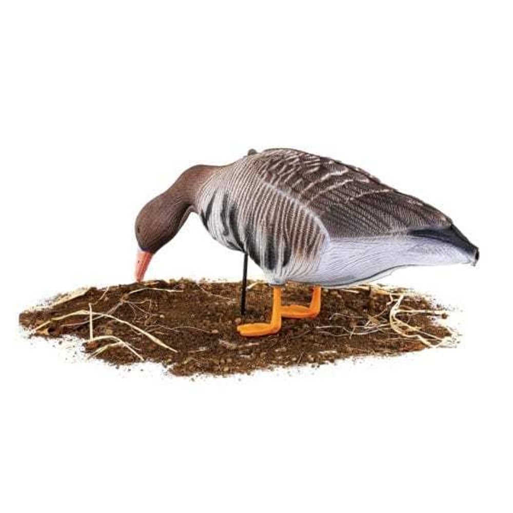 Комплект чучел Белолобый (10шт) S-XPE B622-3D "North Way"